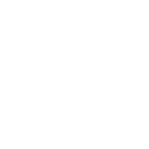 Apple Logo White